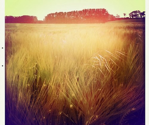 Hipstamatic, la mejor app para hacer fotos retro