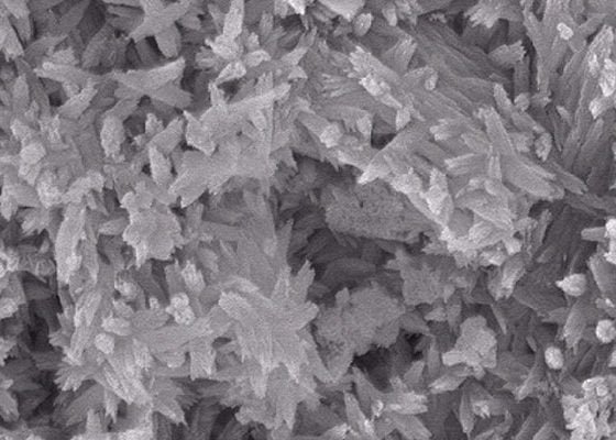 hidroxiapatita ampliación