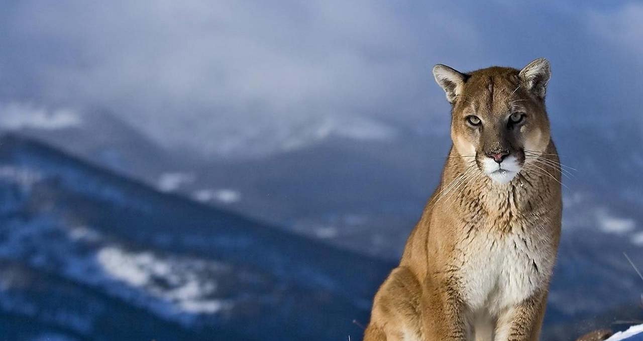 actualizar mac os x lion 10.7.5 actualizar mac os x lion 10.7.5